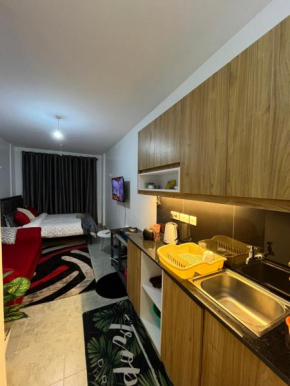 Studio Apartment near TRM